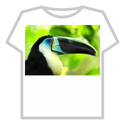 Toucan - Roblox