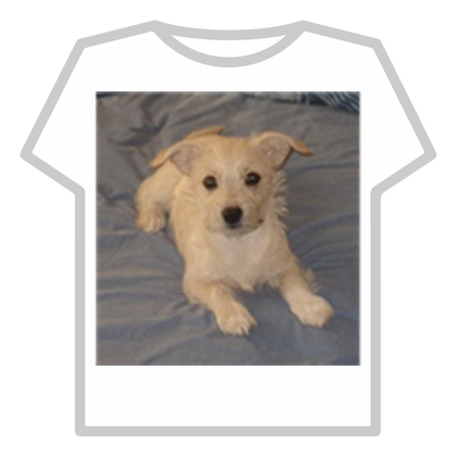 Spyders dog.jpg
