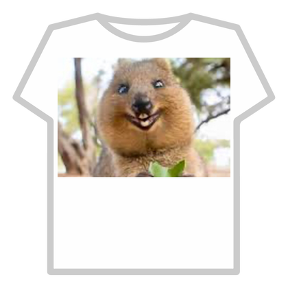 very extremely cute quokka thumbnail