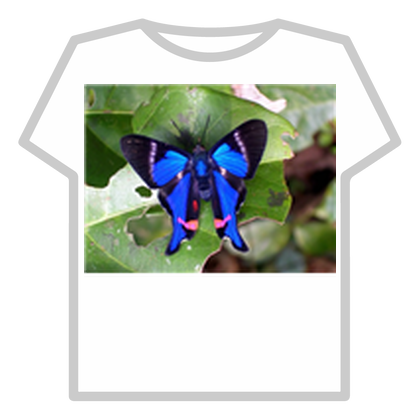 2butterfly